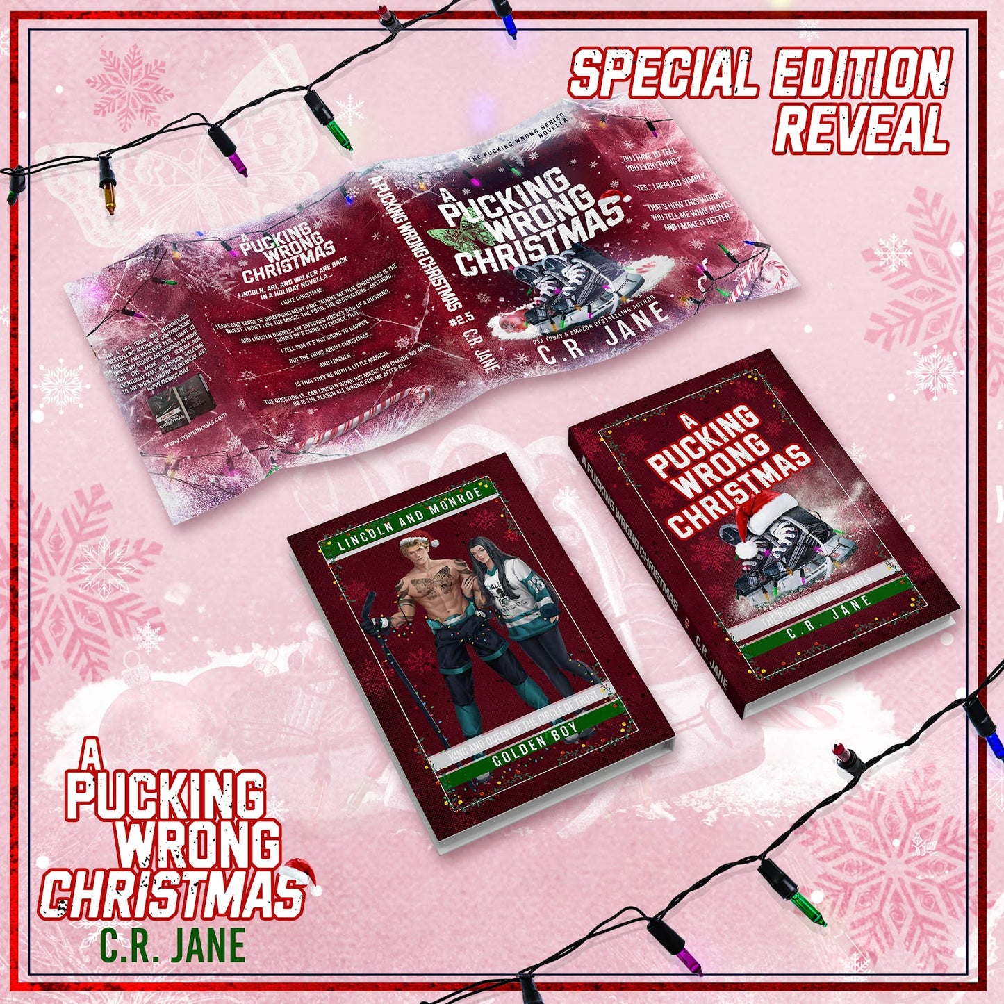 A Pucking Wrong Christmas Special Edition Book Box